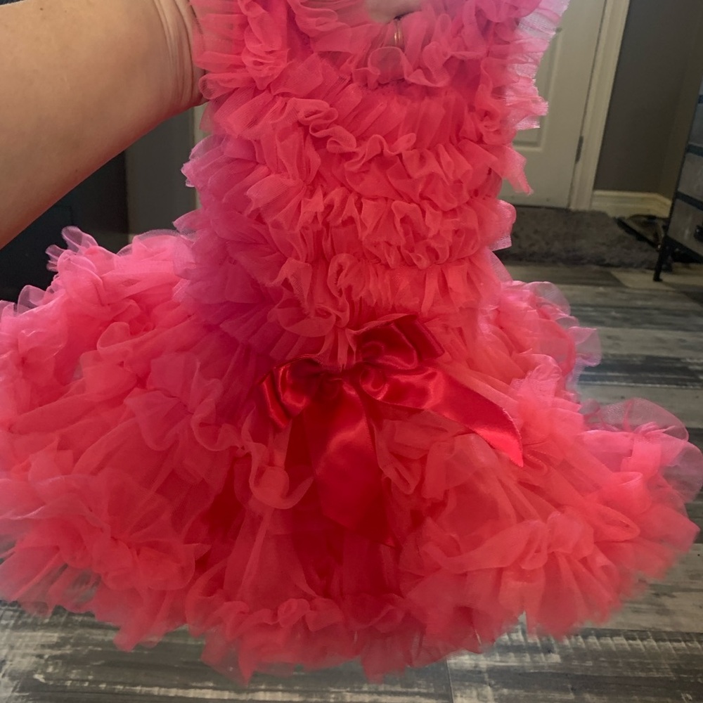 Pink Ruffled Tulle Dress - Picture 3 of 6